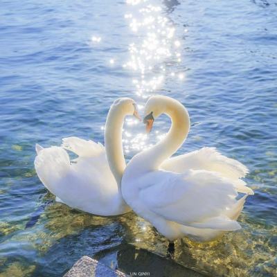 高尔夫邀请赛修改版