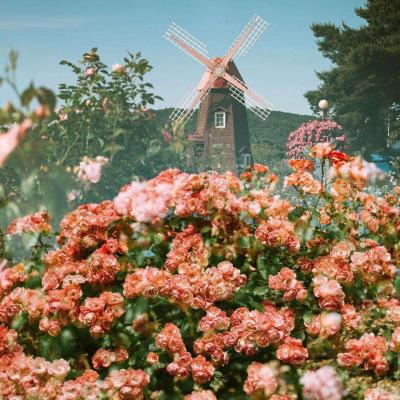 少年骇客崎岖赛道